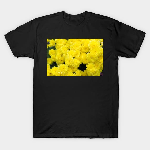 Mums the Word T-Shirt by wolftinz